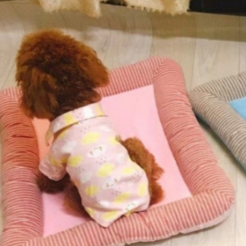 디키포펫 베알라 반려동물 쿨매트, 타입4, 1개