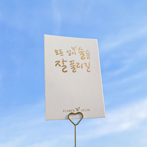 LED 조명이 돋보이는 자연스럽고 내구성 있는 이플린 조화 카네이션 꽃다발로 공간을 밝히세요.