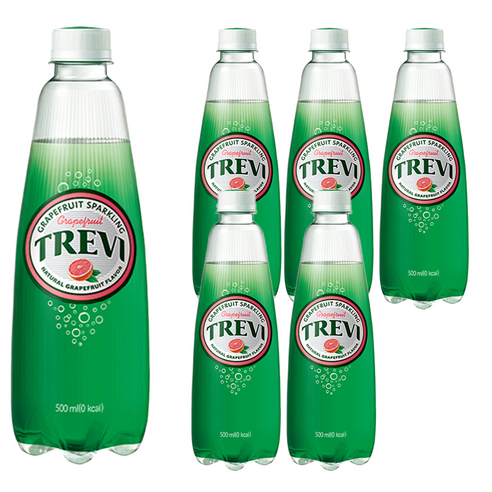 트레비 자몽 탄산음료, 500ml, 6개