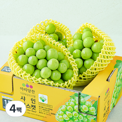 아리당찬 비파괴 당도선별 샤인머스캣, 1kg, 4팩