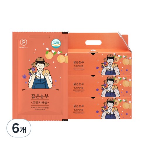 푸릇담 젊은농부 도라지배즙, 3L, 6개