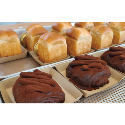 친환경적이며 다용도로 활용할 수 있는 합리적인 가격의 종이 트레이