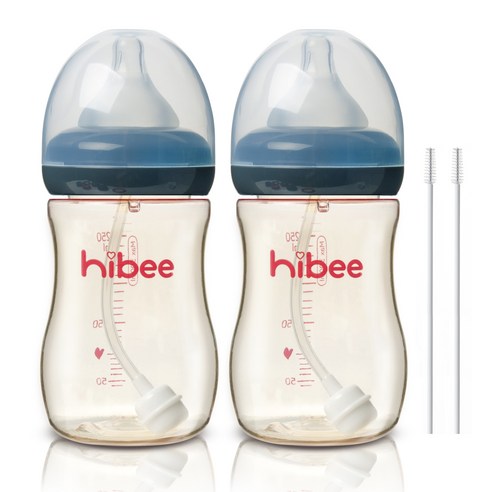 하이비 PPSU 빨대젖병 300ml 2p + 빨대솔 2p, LL(9개월이상), 그레이, 1개