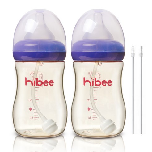 하이비 PPSU 빨대젖병 300ml 2p + 빨대솔 2p, LL(9개월이상), 퍼플, 1개