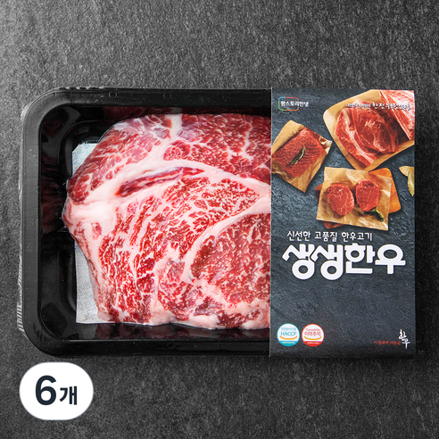 생생한우 1등급 등심 구이용 (냉장), 200g, 6개