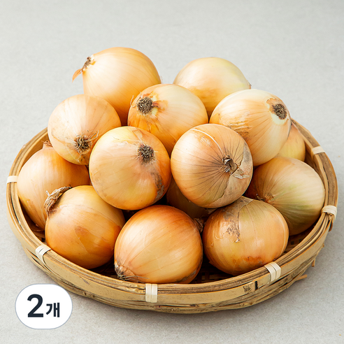곰곰 양파(장아찌용), 3kg, 2개