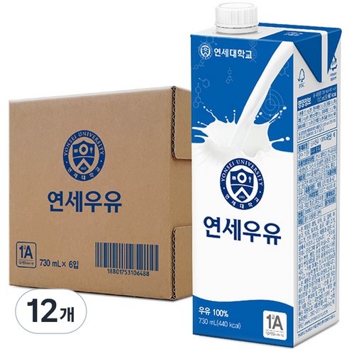 연세대학교 연세우유, 730ml, 12개
