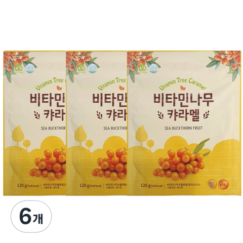 하이투데이 비타민 나무 캬라멜, 360g, 6개