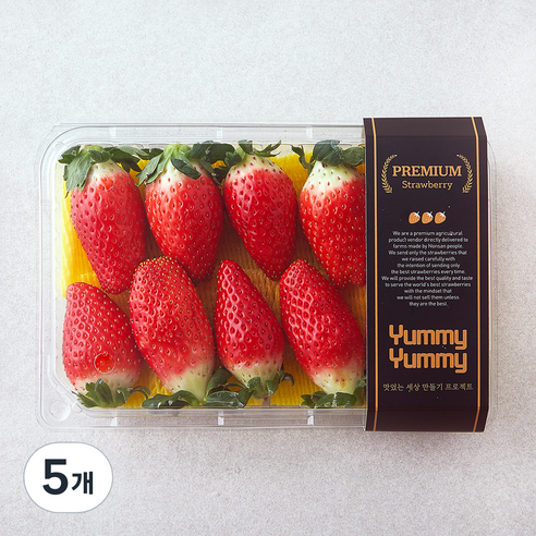 여미야미 킹스베리 딸기, 5개, 400g(중과)
