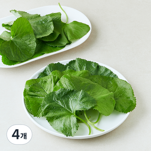 양촌 곰취, 90g, 4개