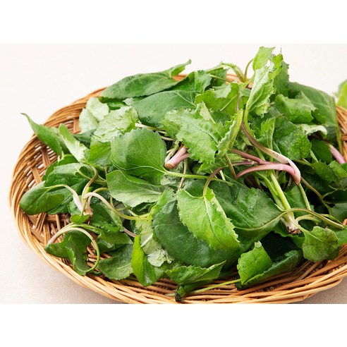 향긋한 봄 내음 가득, 밥상 위의 싱그러운 행복