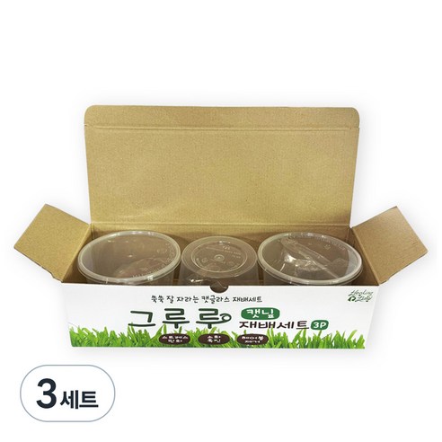 힐링타임 그루루 캣그라스 재배세트 3p, 캣닢, 3세트