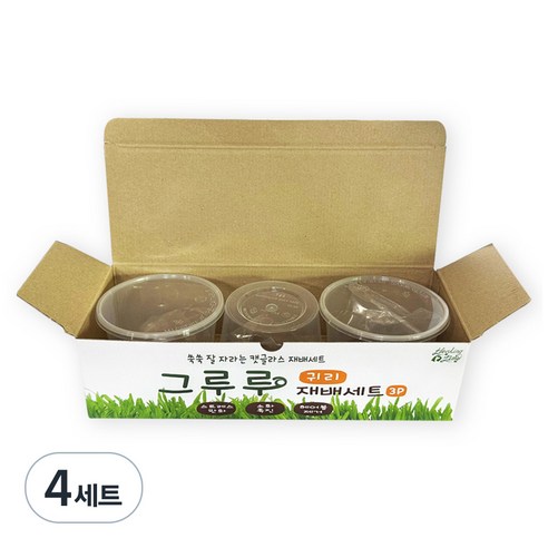 힐링타임 그루루 캣그라스 재배세트 3p, 귀리, 4세트