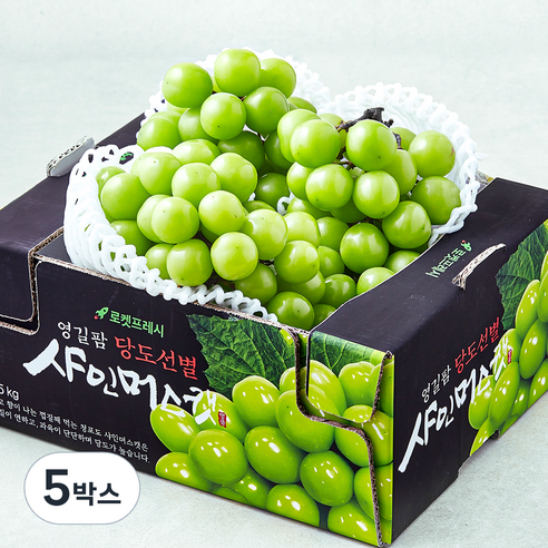 영길팜 당도선별 샤인머스캣, 5박스, 1.5kg