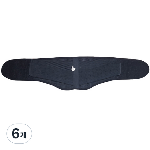 카스 허리보호대 MS-3789 L, 6개