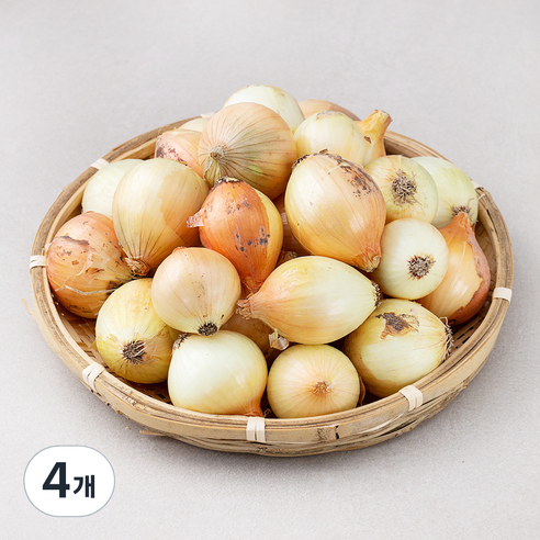 국내산 양파(장아찌용), 4kg, 4개