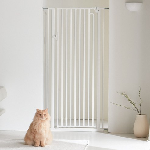 가족 모두의 안전과 편안함을 지키는 선택