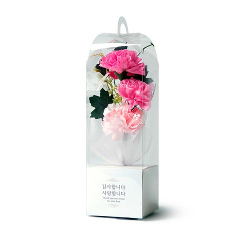 아침향기 조화 어버이날 스승의 날 반딧불 카네이션 + 조명 세트, 핑크(카네이션), 1세트