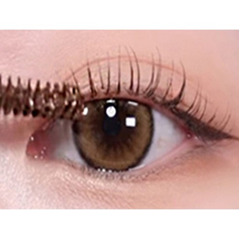 완벽한 속눈썹 연출의 비밀