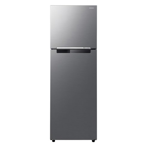 삼성전자 일반 255L 2도어 냉장고, RT25DARAHS9