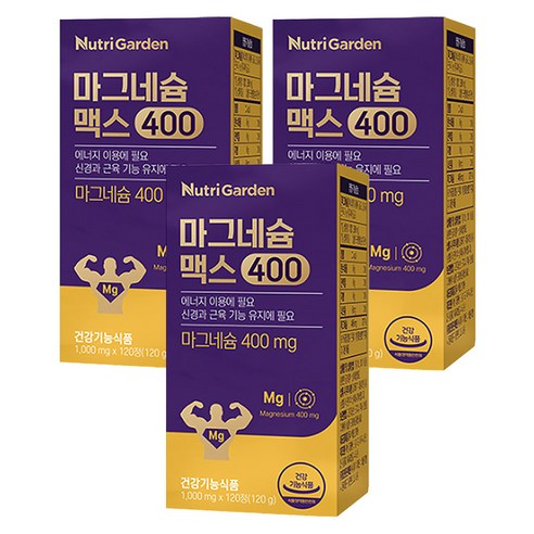 뉴트리가든 마그네슘 맥스400 120정, 3개