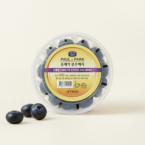PAUL&PARK 국내산 유레카 블루베리, 100g, 1개
