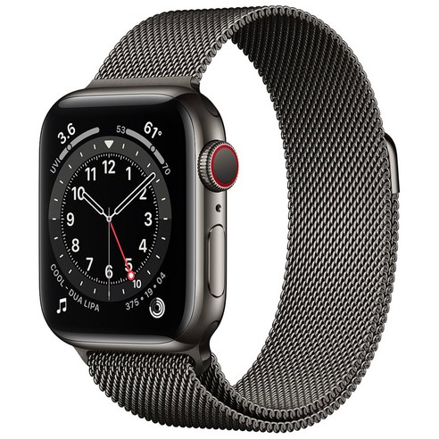 Apple 애플워치 6, 그래파이트 스테인리스 스틸 케이스, 그래파이트 밀레니즈 루프, 4cm, GPS+Cellular