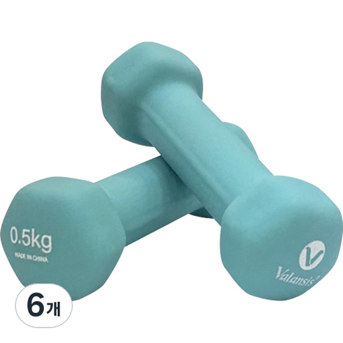 밸런시스 미용아령 민트, 0.5kg, 6개