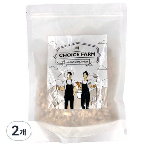 초이스팜 볶은 맥문동, 100g, 2개