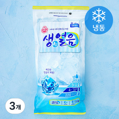 오뚜기 생얼음 (냉동), 1kg, 3개