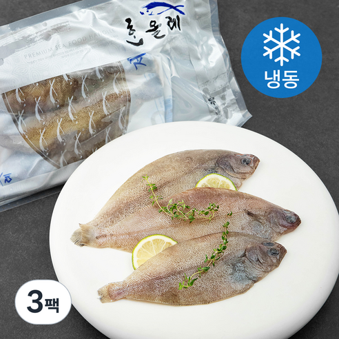 한올레 제주 참가자미 (냉동), 600g, 3팩