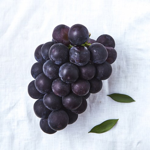 비파괴 당도선별 국내산 거봉, 1개, 1kg