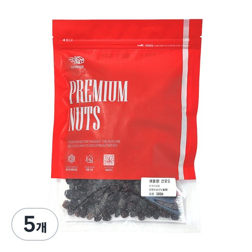 다다모마켓 건포도, 500g, 5개