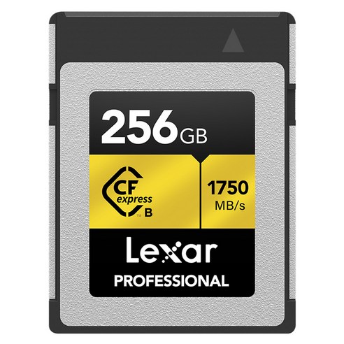렉사 Professional CFexpress Type B, 256GB, 1개
