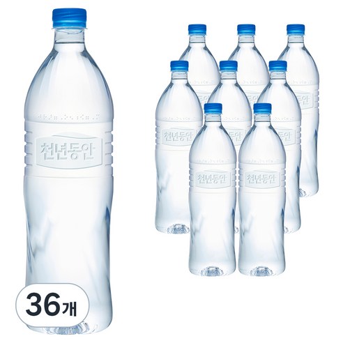 천년동안 해양심층수 무라벨, 1.2L, 36개