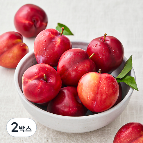 아주마 산지직송 저탄소 인증 대석 왕 자두, 1kg, 2박스