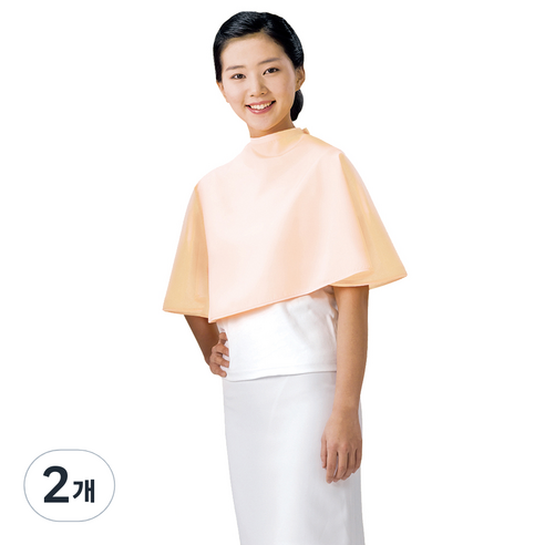 라인 포그니 드라이보 대, 오렌지 LN317, 2개