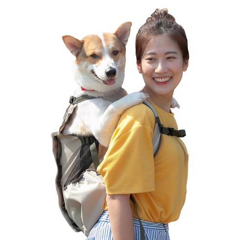 어부바 라이트2 강아지 견체공학 배낭 캐리어 슬링백, 펜지베이지, 1개