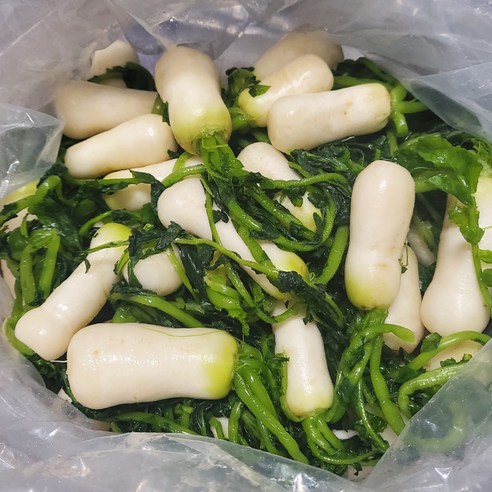 塑料袋 泡菜袋 一次性用品 塑料袋 袋子 泡菜袋 廚具 泡菜塑料 廚具 用品