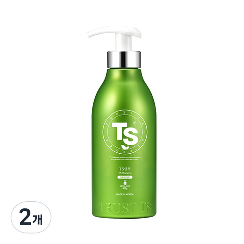 TS 샴푸 오리지널 버전, 500g, 2개
