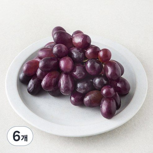 칠레 적포도, 6개, 450g