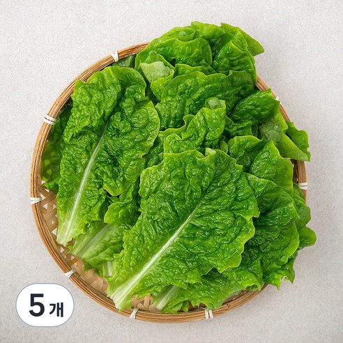 곰곰 청상추, 500g, 5개