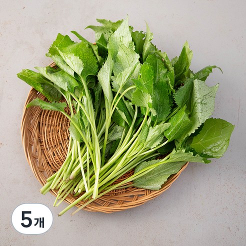 국내산 취나물, 200g, 5개