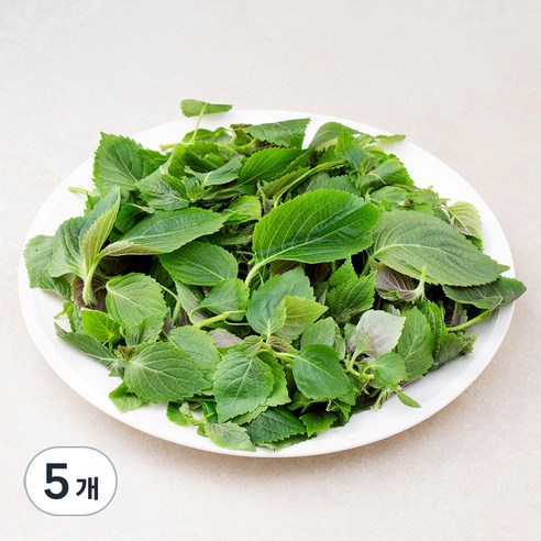 국내산 깻순, 300g, 5개