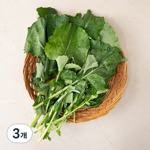 국내산 유채나물, 250g, 3개