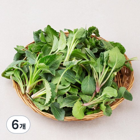 국내산 부지깽이나물, 250g, 6개
