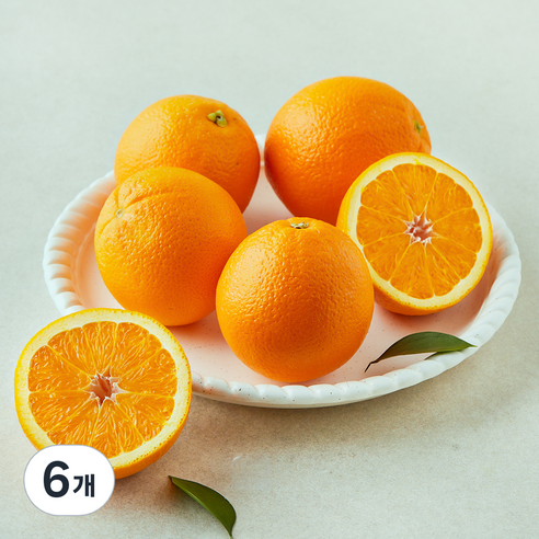 더네이처 호주산 오렌지, 6개, 1kg