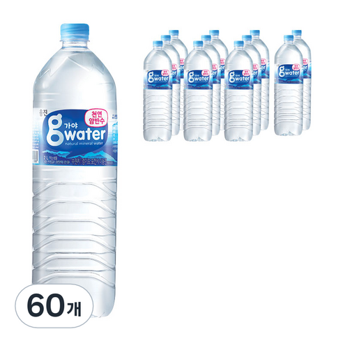 웅진식품 가야g워터, 60개, 2L