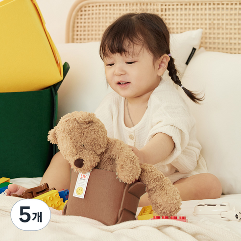 리브맘 접이식 펠트 비비드 수납 리빙박스, 브라운, 5개