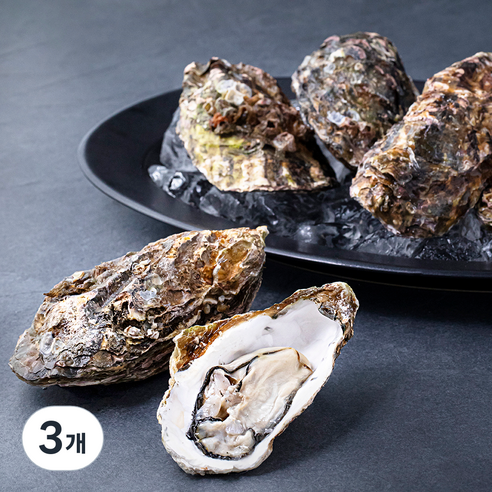 살맛나요 남해안 산지직송 쪄먹는 프리미엄 왕석화 개체굴 6~10미 (냉장), 2kg, 3개